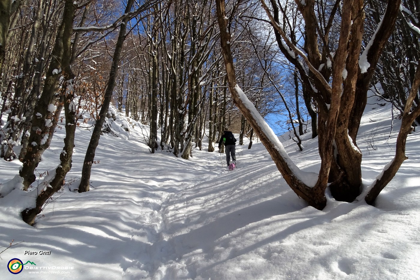 48 Bella neve sul  sentiero 571 per 'I Canti'  .JPG